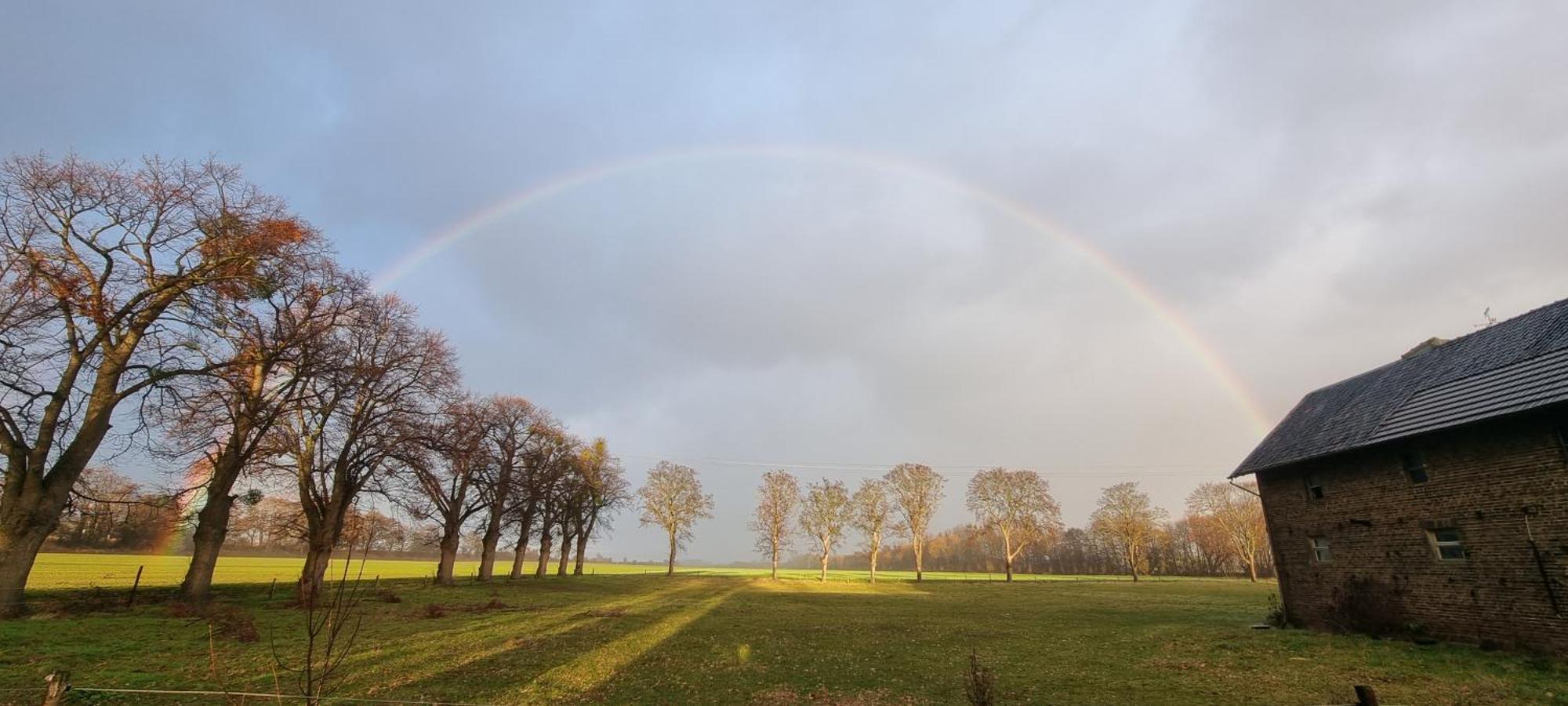 Ferienhaus Q1, Ruhe Und Erholung In Der Eifel ซึลพิค ภายนอก รูปภาพ