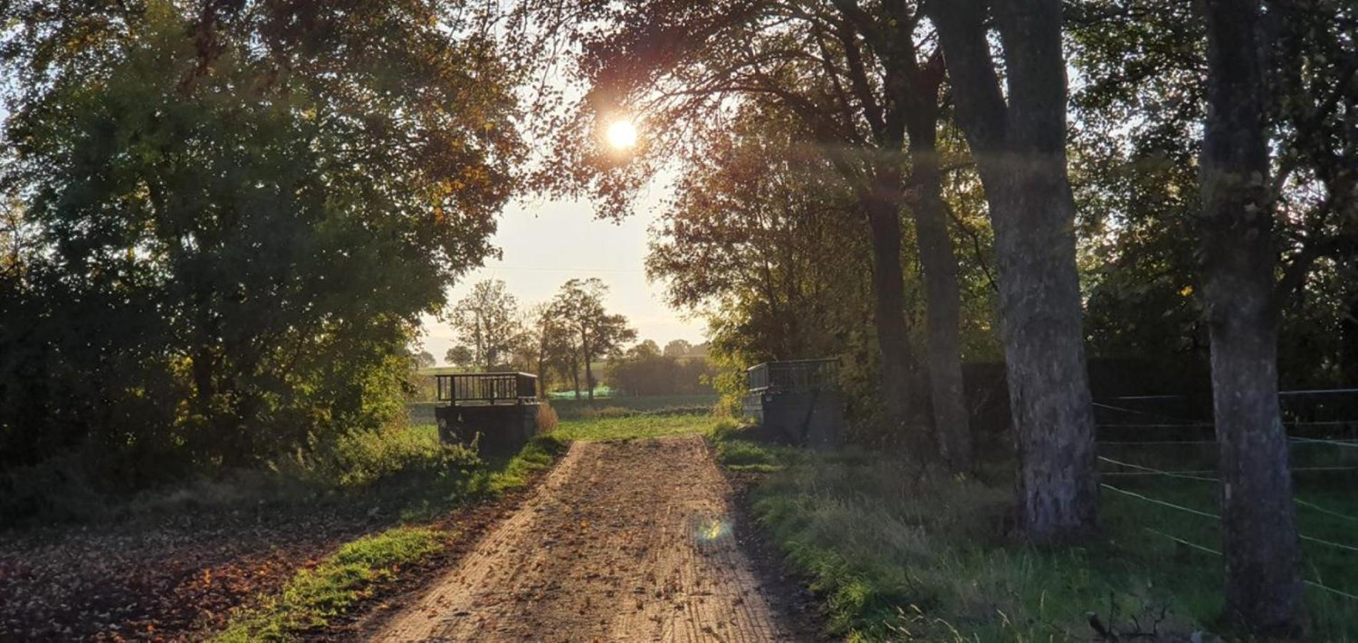 Ferienhaus Q1, Ruhe Und Erholung In Der Eifel ซึลพิค ภายนอก รูปภาพ